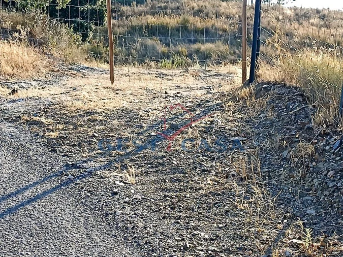 Terreno Agricola ou Rústico para Venda em Castelo Branco Foto 11