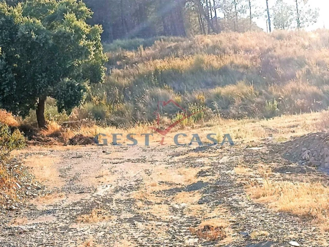 Terreno Agricola ou Rústico para Venda em Castelo Branco Foto 3