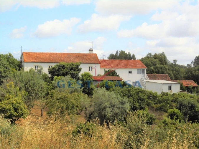 Quinta T7 para Venda em Aguas Belas Foto 1