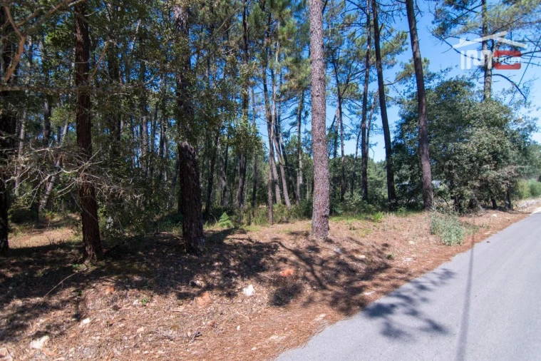 Terreno Agricola ou Rústico para Venda em São Mamede Foto 2