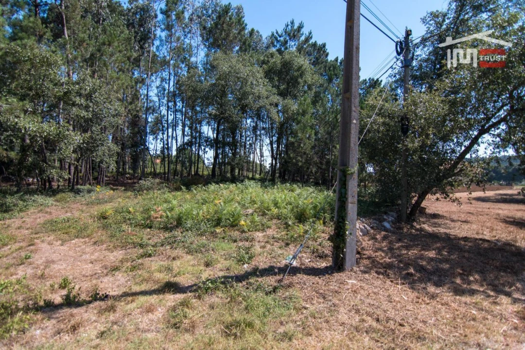 Terreno Agricola ou Rústico para Venda em Alqueidão da Serra Foto 2
