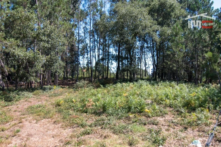Terreno Agricola ou Rústico para Venda em Alqueidão da Serra Foto 5
