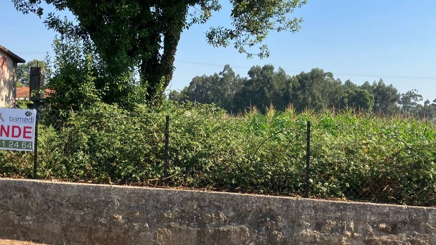 Terreno para Venda em Arcozelo