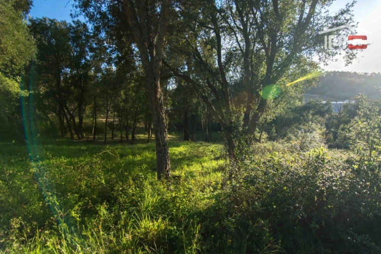 Terreno para Venda em Nossa Senhora da Piedade Foto 4
