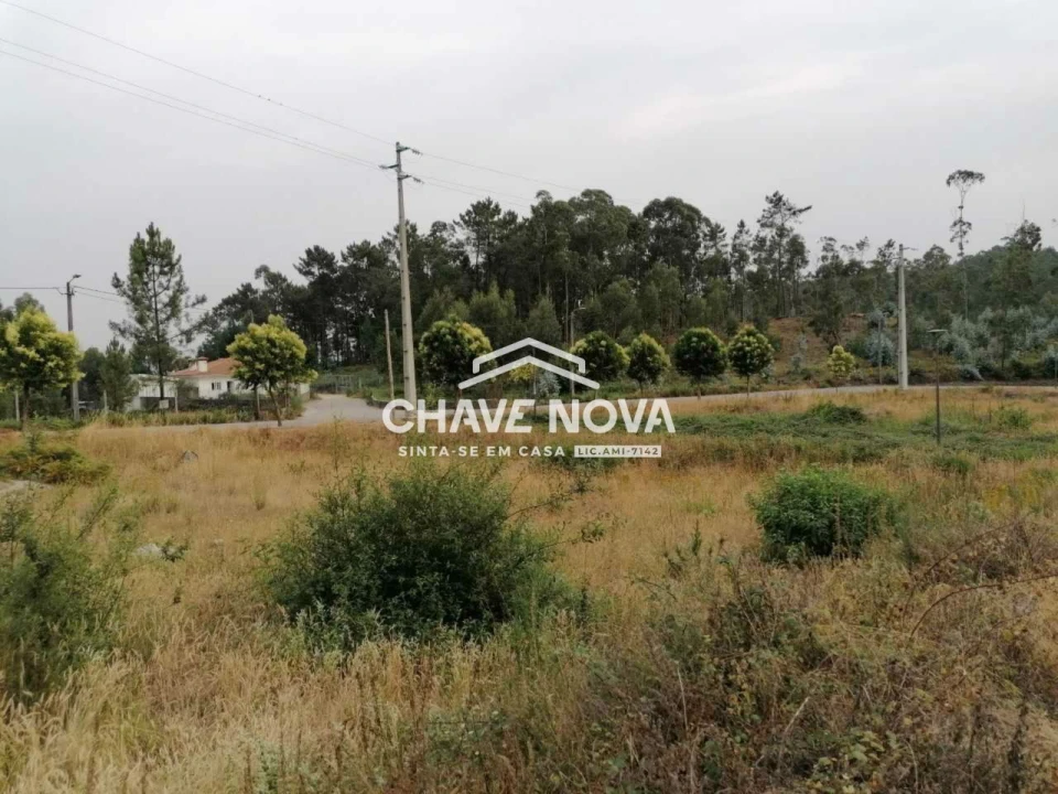 Terreno para Venda em Fajões Foto 5
