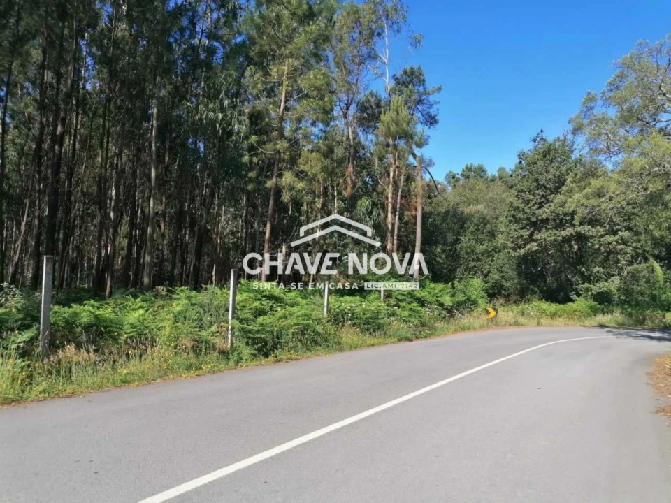 Terreno Misto para Venda em Macieira de Sarnes Foto 4