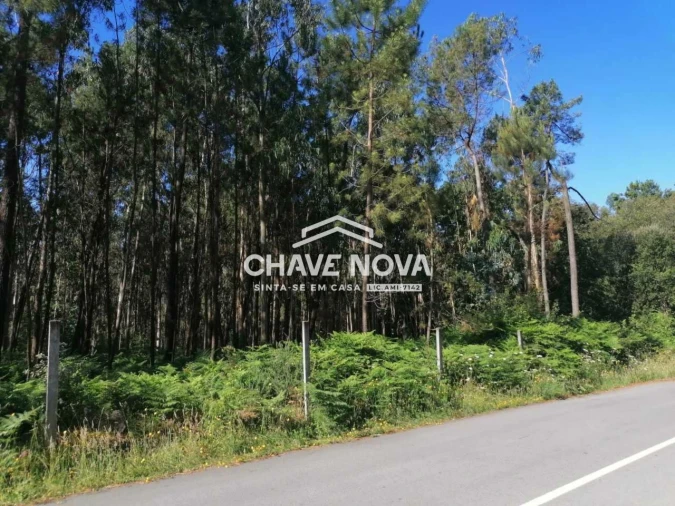 Terreno Misto para Venda em Macieira de Sarnes Foto 2