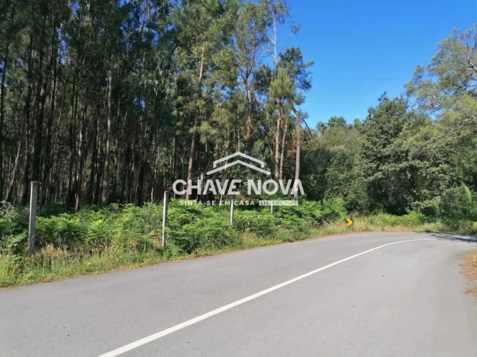 Terreno Misto para Venda em Macieira de Sarnes Foto 4