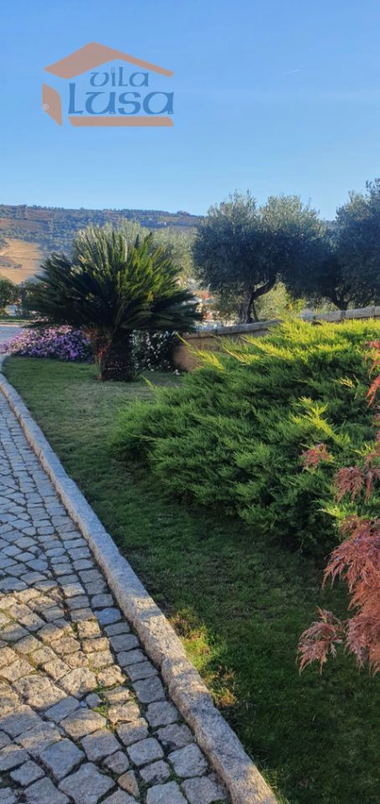 Moradia T6 para Venda em Parada do Bispo e Valdigem Foto 7