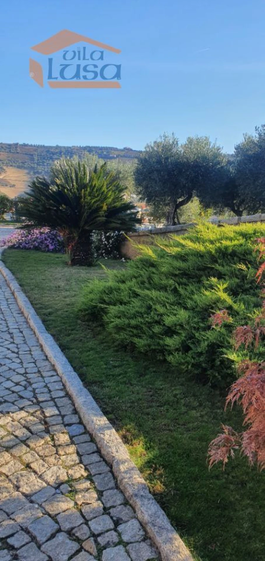 Moradia T6 para Venda em Parada do Bispo e Valdigem Foto 7