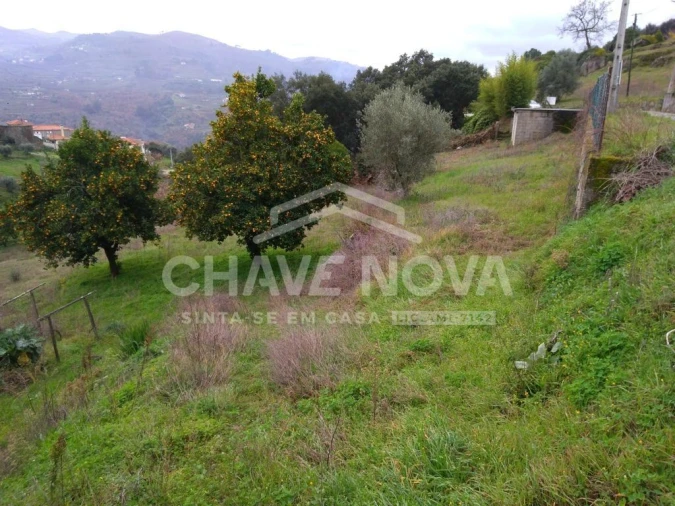 Terreno Misto para Venda em Campelo e Ovil Foto 1