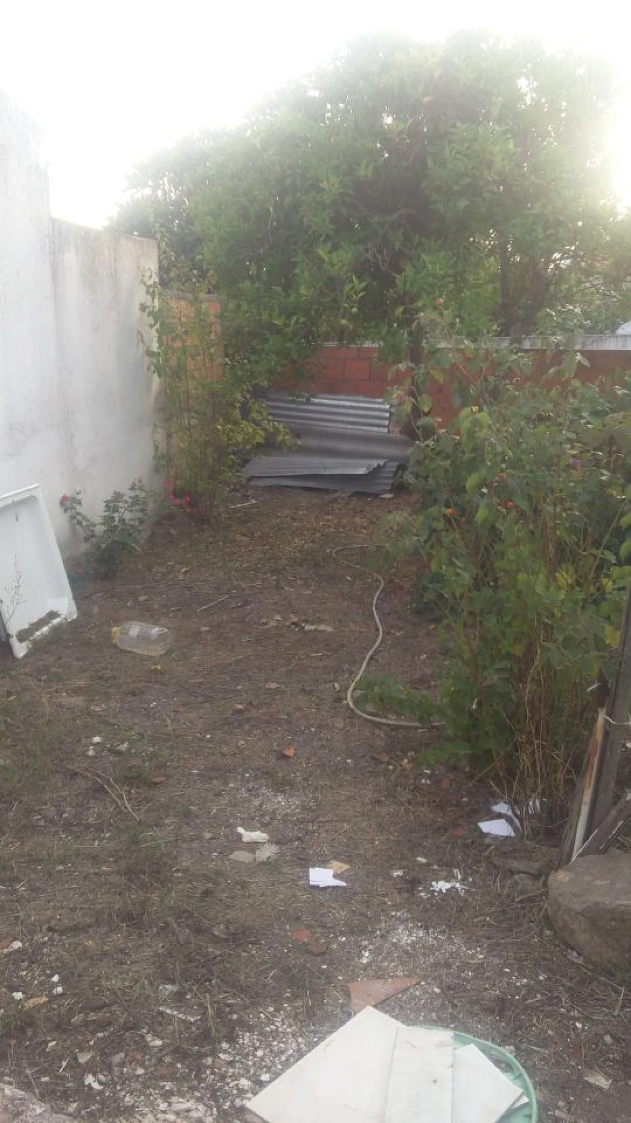 Moradia T2 para Venda em Cabeção Foto 23