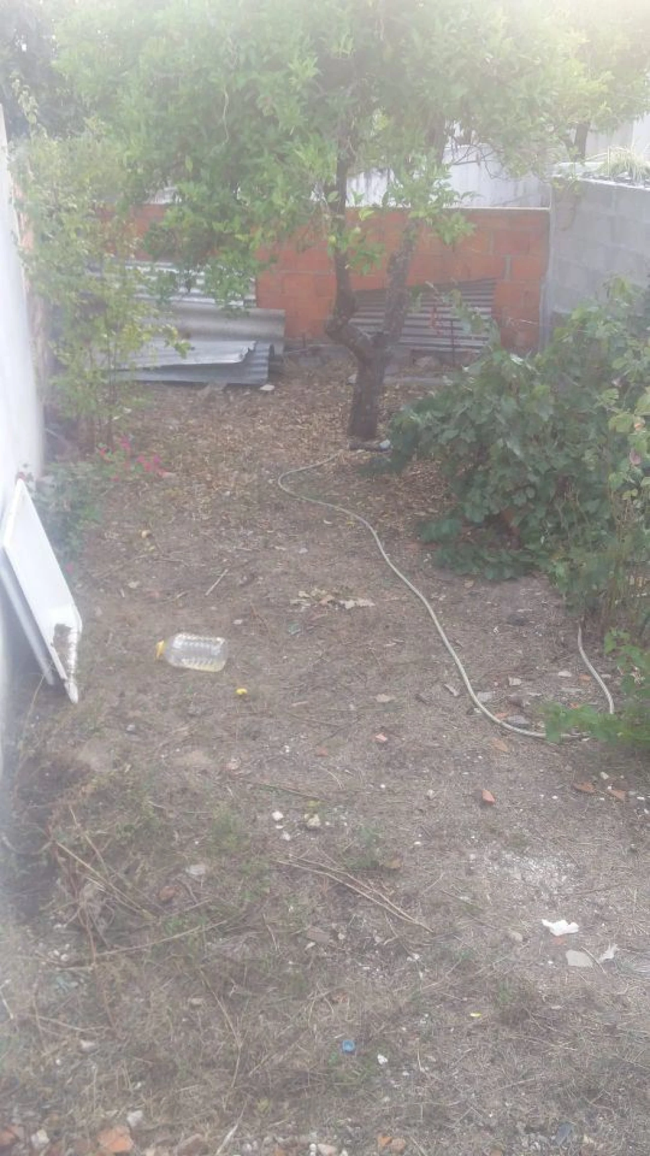 Moradia T2 para Venda em Cabeção Foto 25