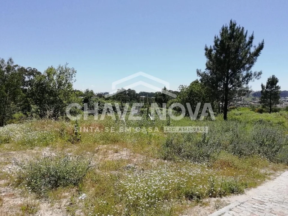 Terreno Agricola ou Rústico para Venda em Vilela Foto 1