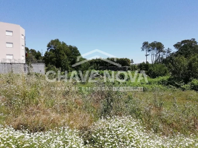 Terreno Agricola ou Rústico para Venda em Vilela Foto 2