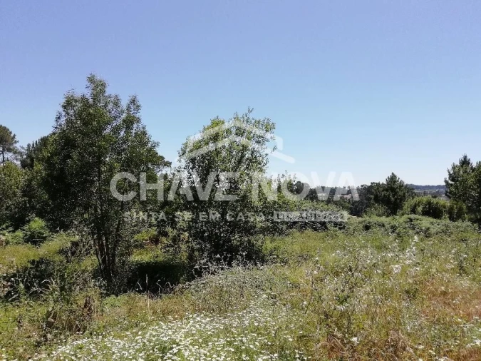 Terreno Agricola ou Rústico para Venda em Vilela Foto 4