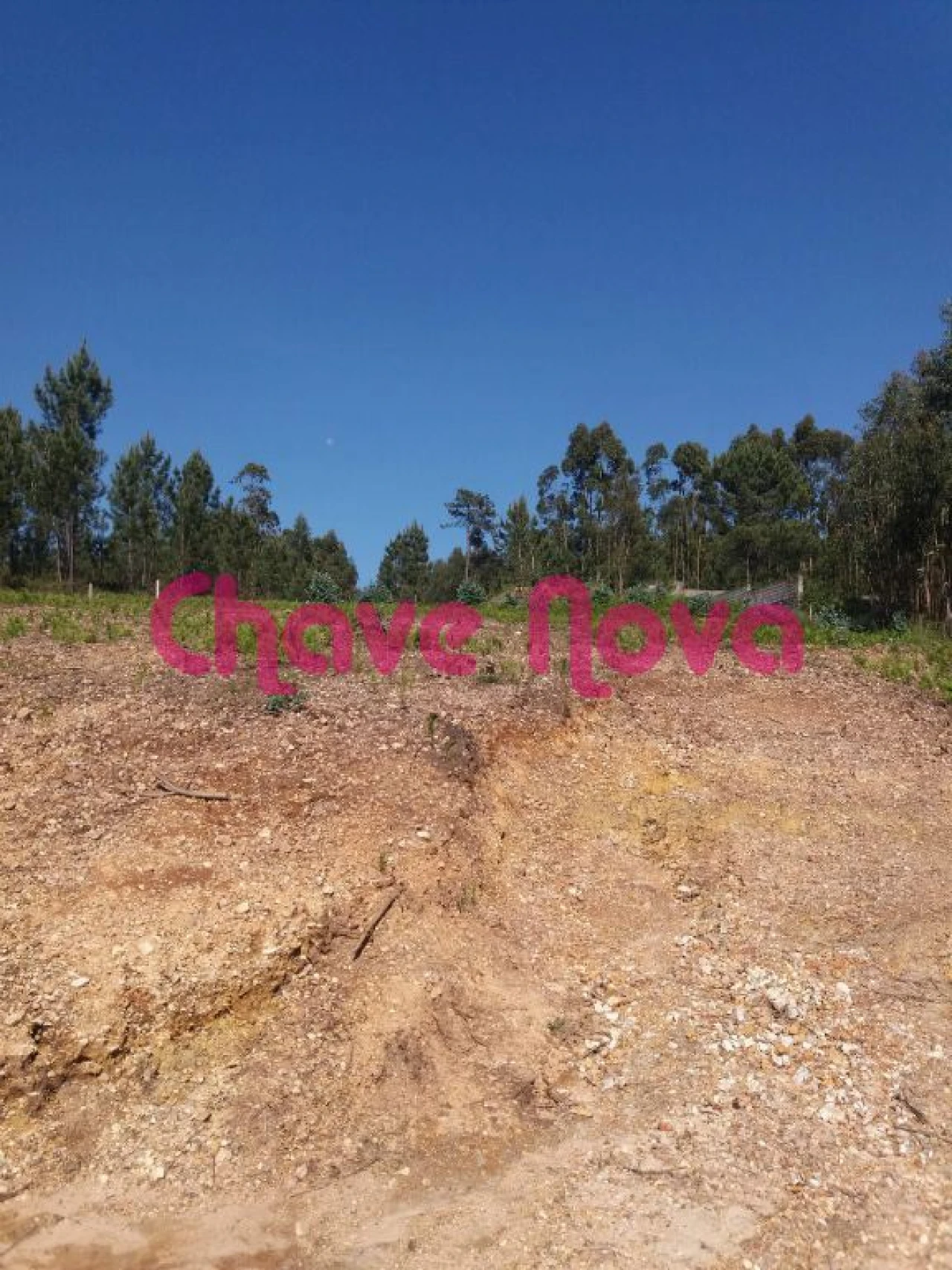 Terreno Misto para Venda em Arcozelo Foto 1