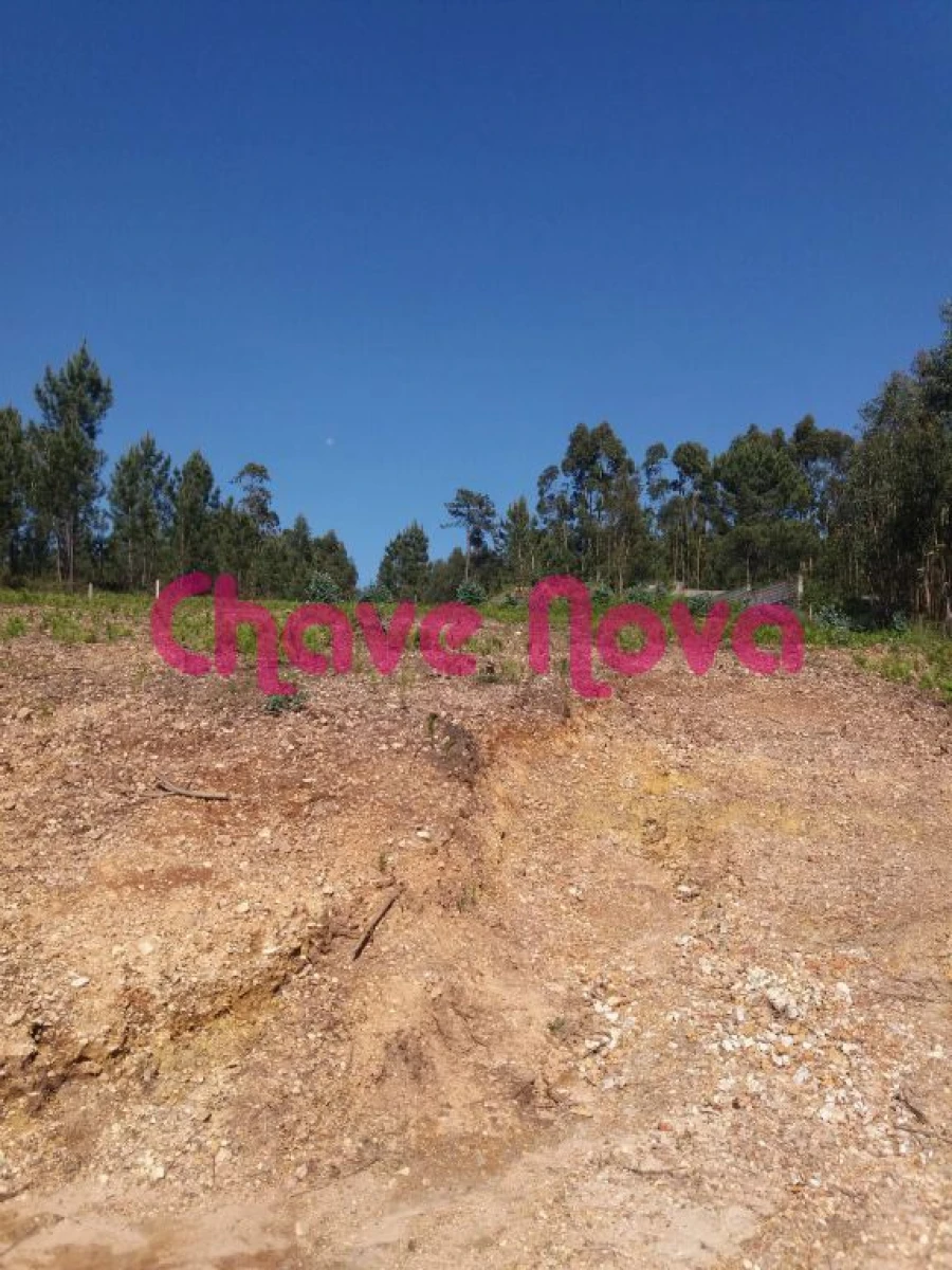 Terreno Misto para Venda em Arcozelo Foto 1