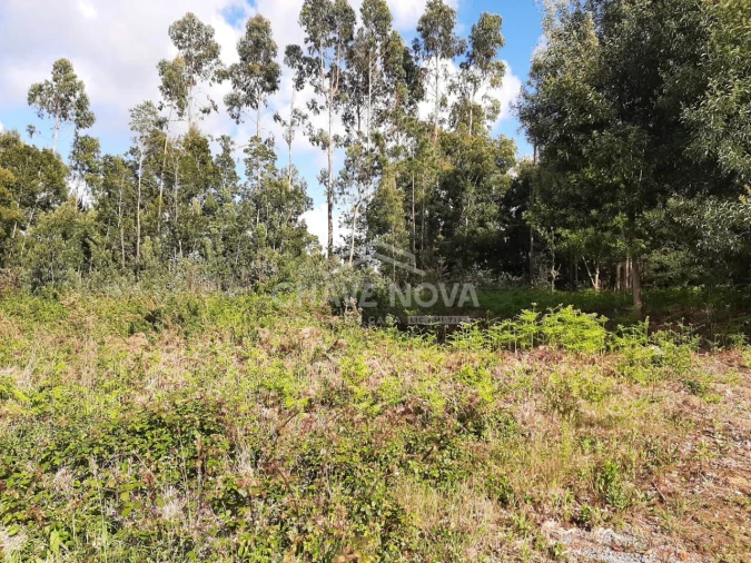 Terreno Agricola ou Rústico para Venda em Argoncilhe Foto 1