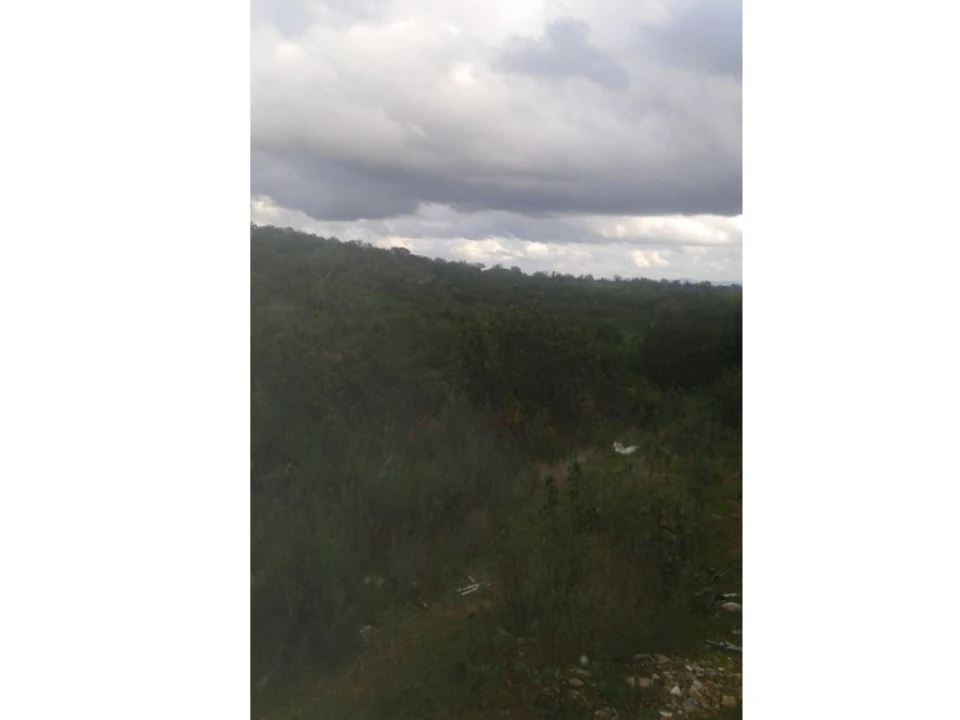 Quinta T3 para Venda em Alcórrego e Maranhão Foto 11