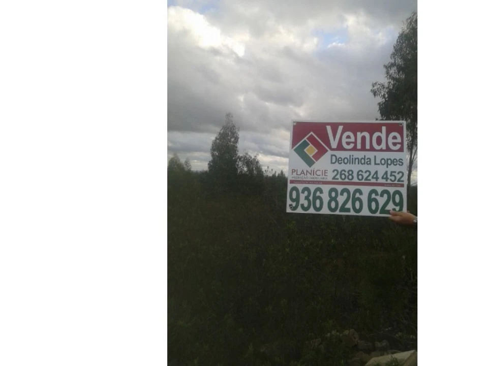 Quinta T3 para Venda em Alcórrego e Maranhão Foto 12