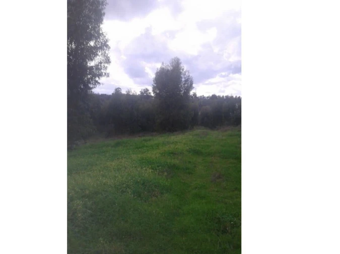 Quinta T3 para Venda em Alcórrego e Maranhão Foto 3