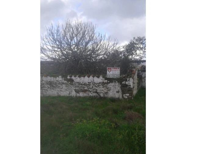 Quinta T3 para Venda em Alcórrego e Maranhão Foto 5