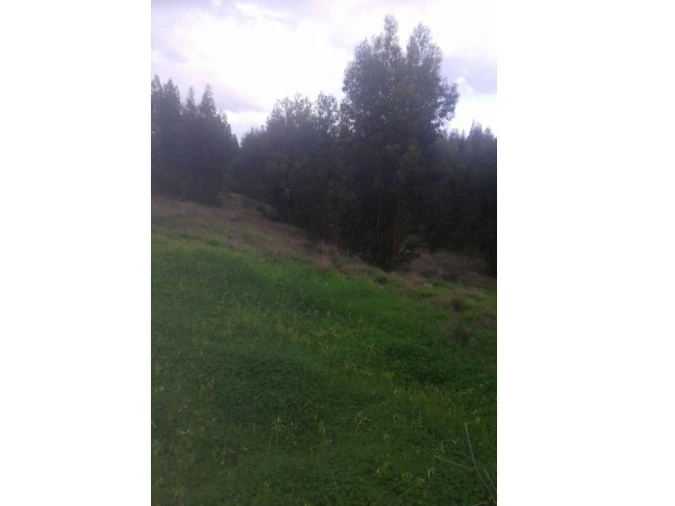 Quinta T3 para Venda em Alcórrego e Maranhão Foto 8