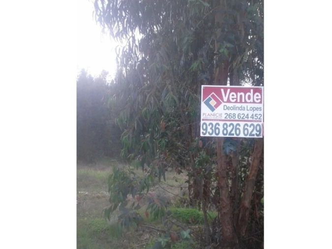 Quinta T3 para Venda em Alcórrego e Maranhão Foto 9