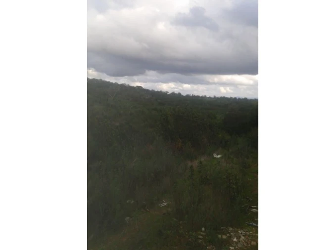 Quinta T3 para Venda em Alcórrego e Maranhão Foto 11