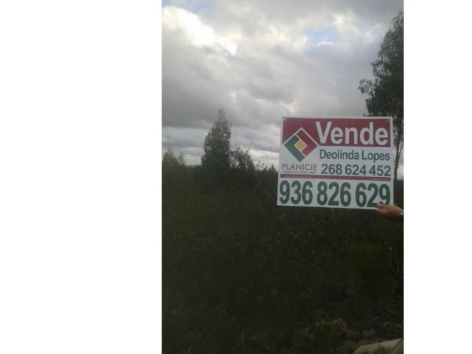 Quinta T3 para Venda em Alcórrego e Maranhão Foto 12