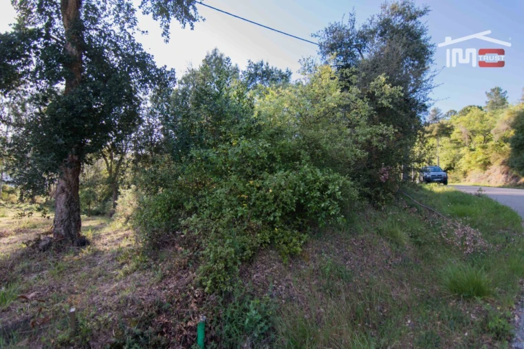 Terreno para Venda em Nossa Senhora da Piedade Foto 5