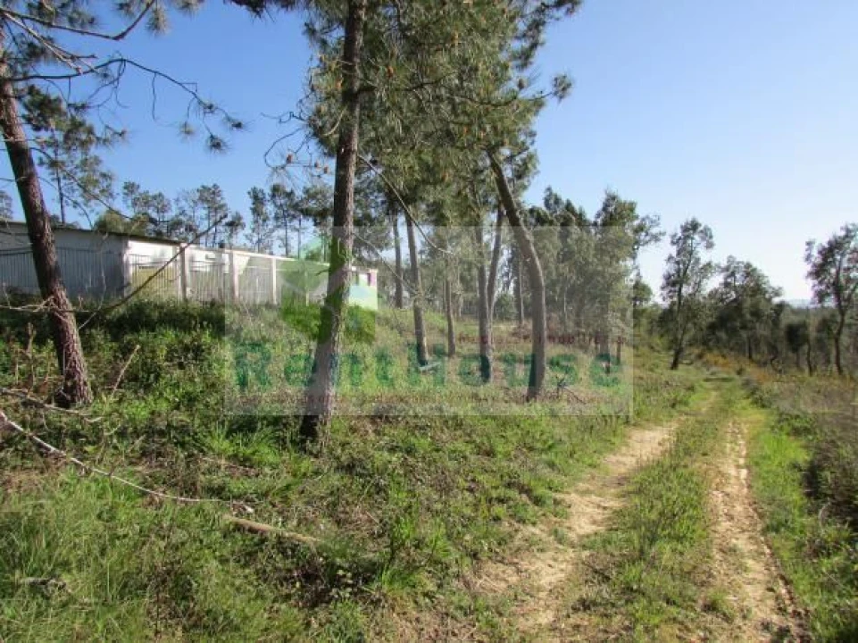 Terreno para Venda em São Martinho de Árvore e Lamarosa Foto 11