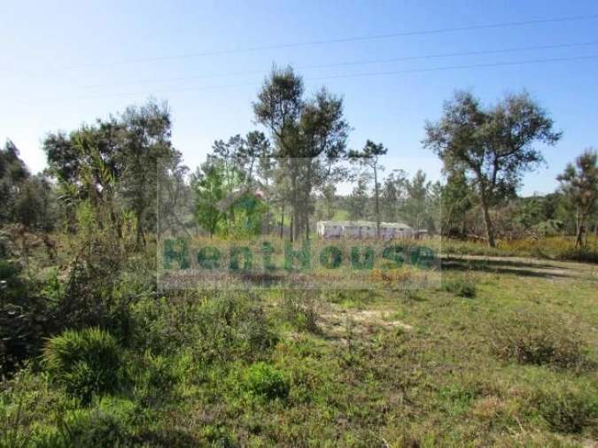 Terreno para Venda em São Martinho de Árvore e Lamarosa Foto 3