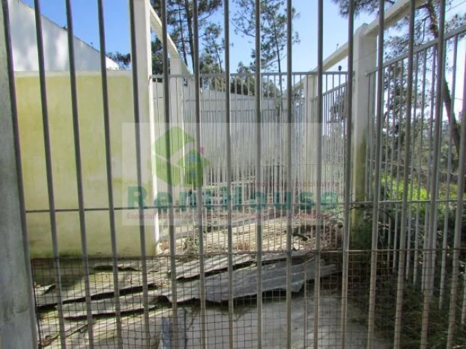 Terreno para Venda em São Martinho de Árvore e Lamarosa Foto 5