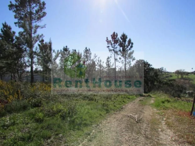 Terreno para Venda em São Martinho de Árvore e Lamarosa Foto 9