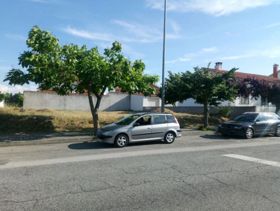 Terreno para Venda em Lardosa Foto 2