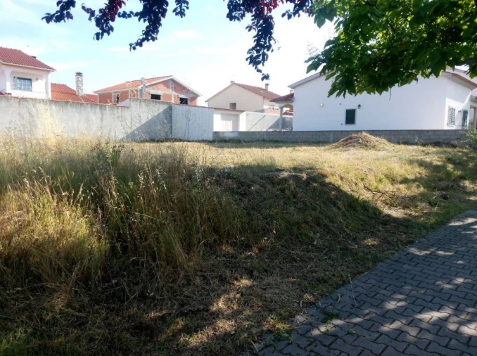 Terreno para Venda em Lardosa