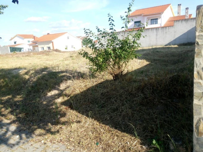 Terreno para Venda em Lardosa Foto 3