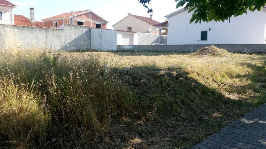 Terreno para Venda em Lardosa