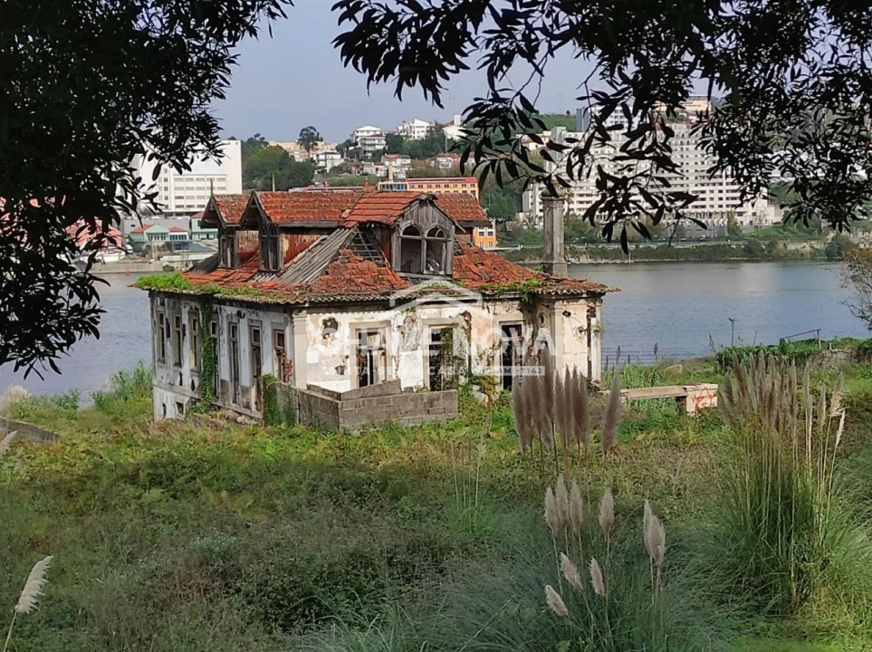 Negócio para Venda em Oliveira do Douro Foto 10