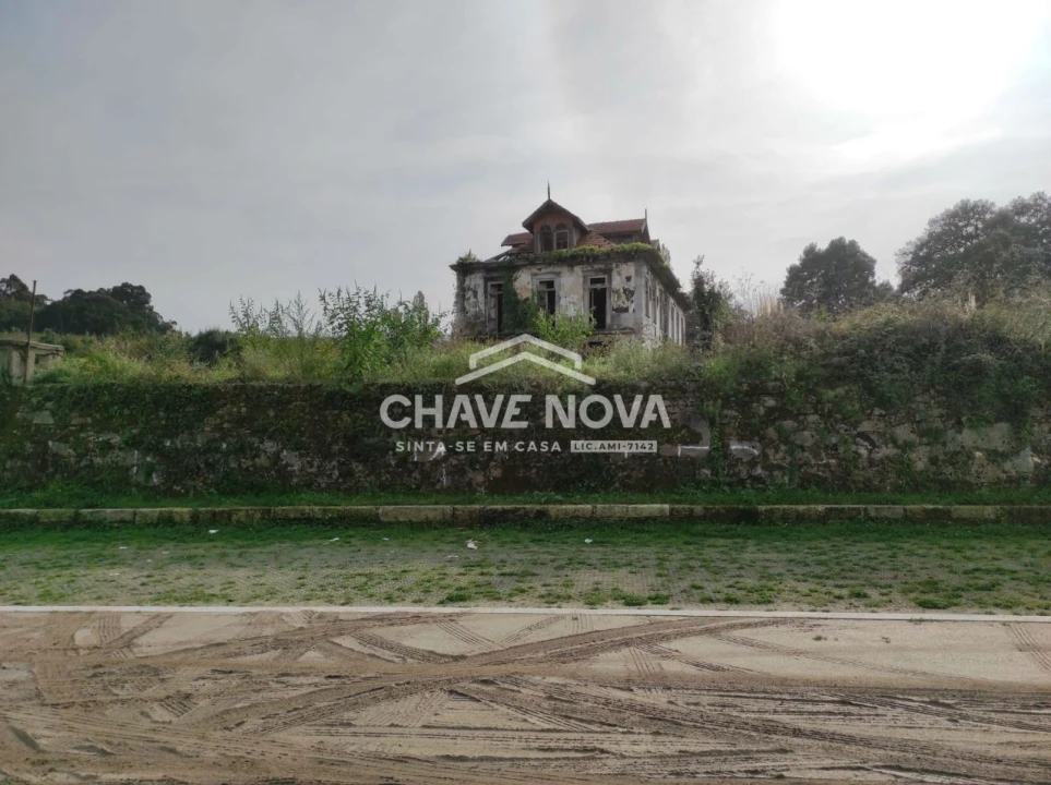 Negócio para Venda em Oliveira do Douro Foto 12