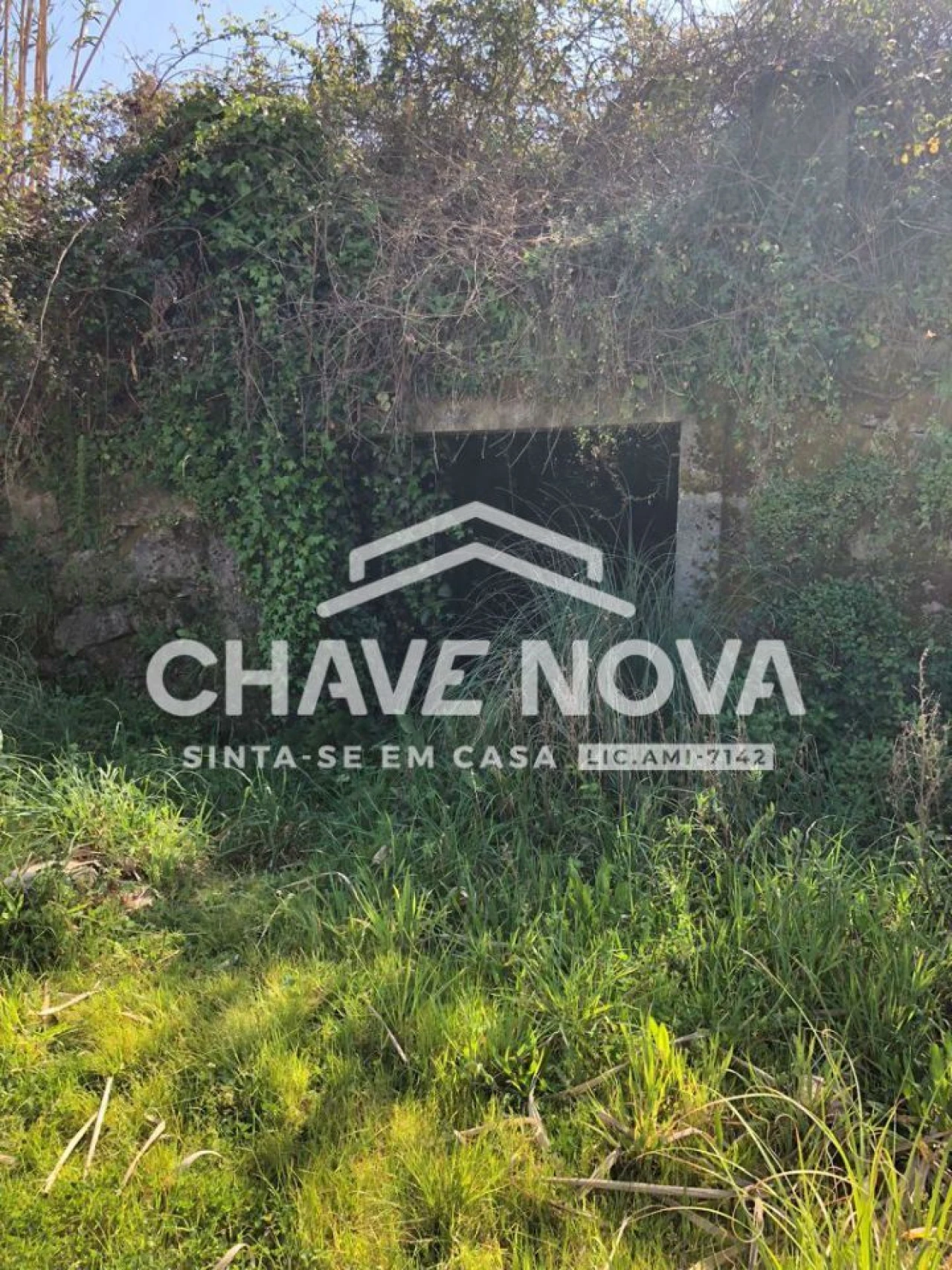 Negócio para Venda em Oliveira do Douro Foto 18