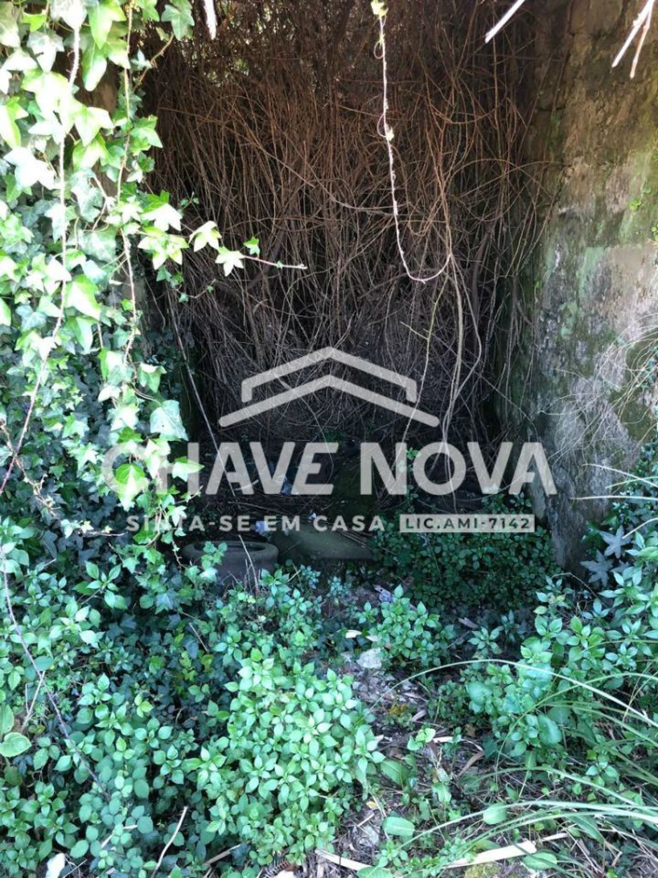 Negócio para Venda em Oliveira do Douro Foto 23