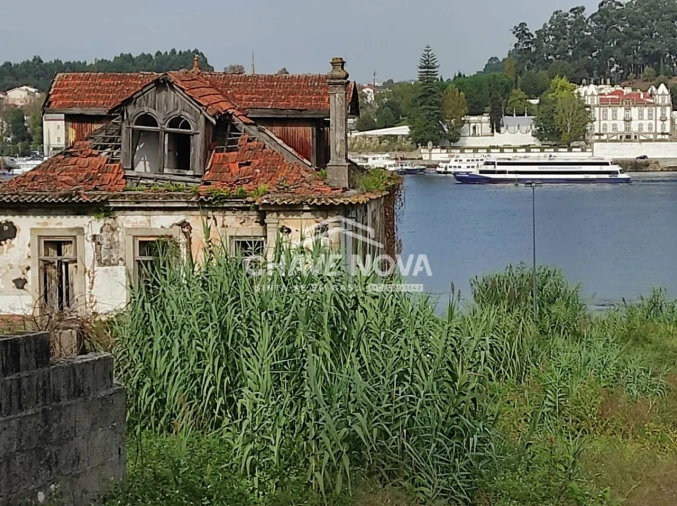 Negócio para Venda em Oliveira do Douro Foto 1