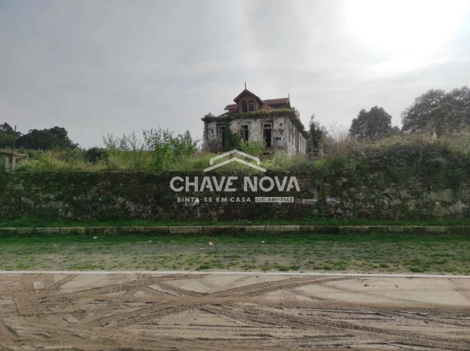 Negócio para Venda em Oliveira do Douro Foto 12