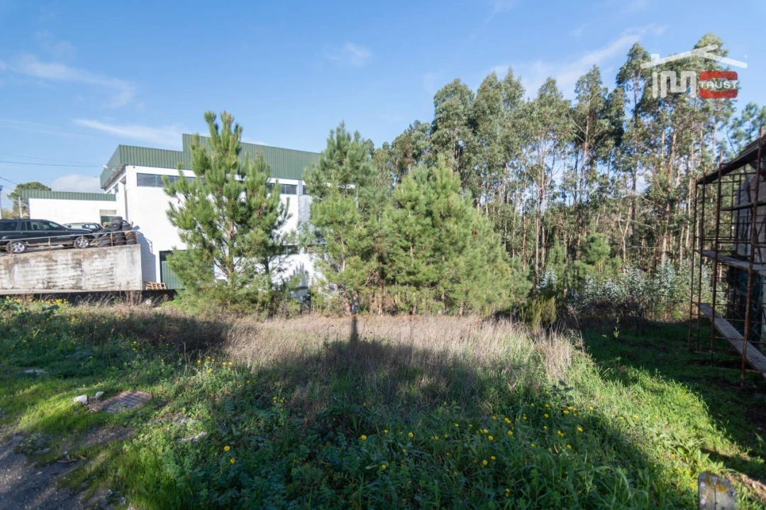 Terreno Agricola ou Rústico para Venda em São Mamede Foto 4