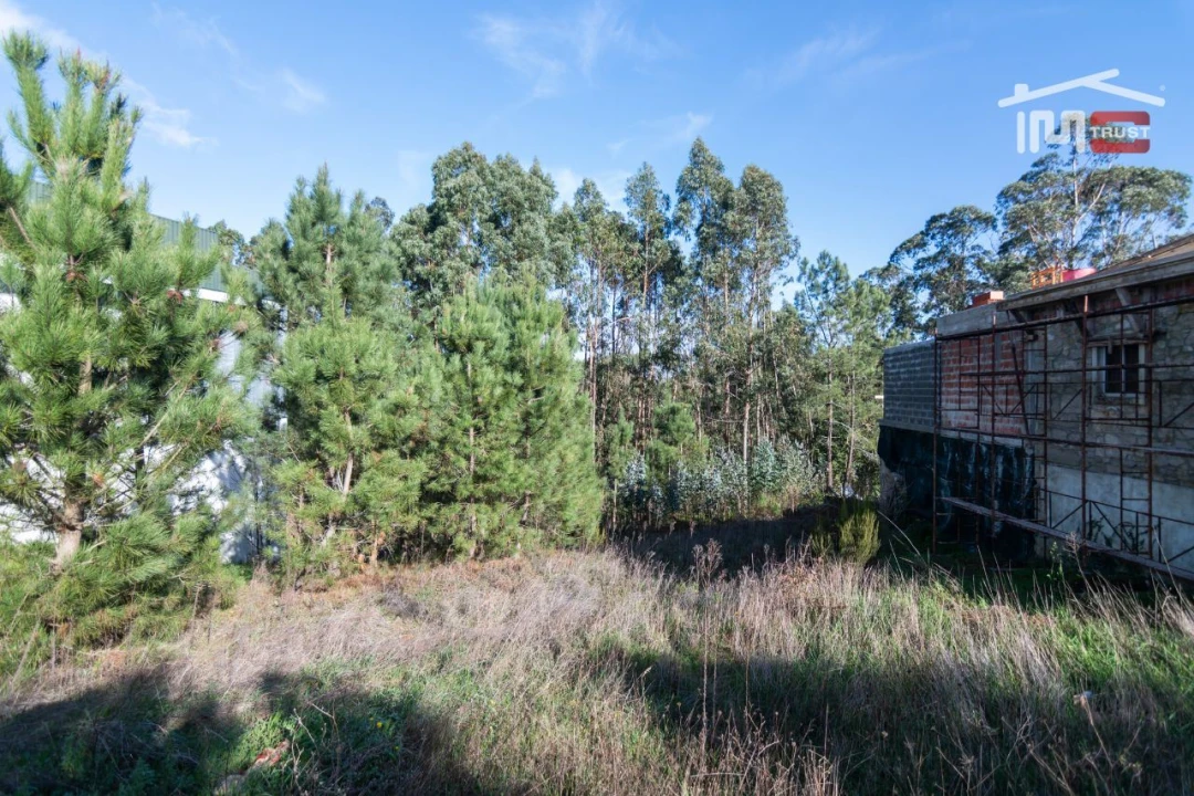 Terreno Agricola ou Rústico para Venda em São Mamede Foto 10