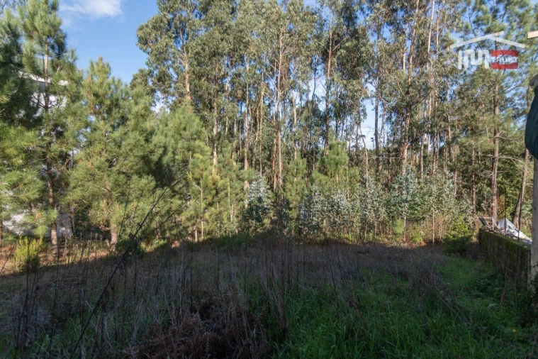 Terreno Agricola ou Rústico para Venda em São Mamede Foto 6