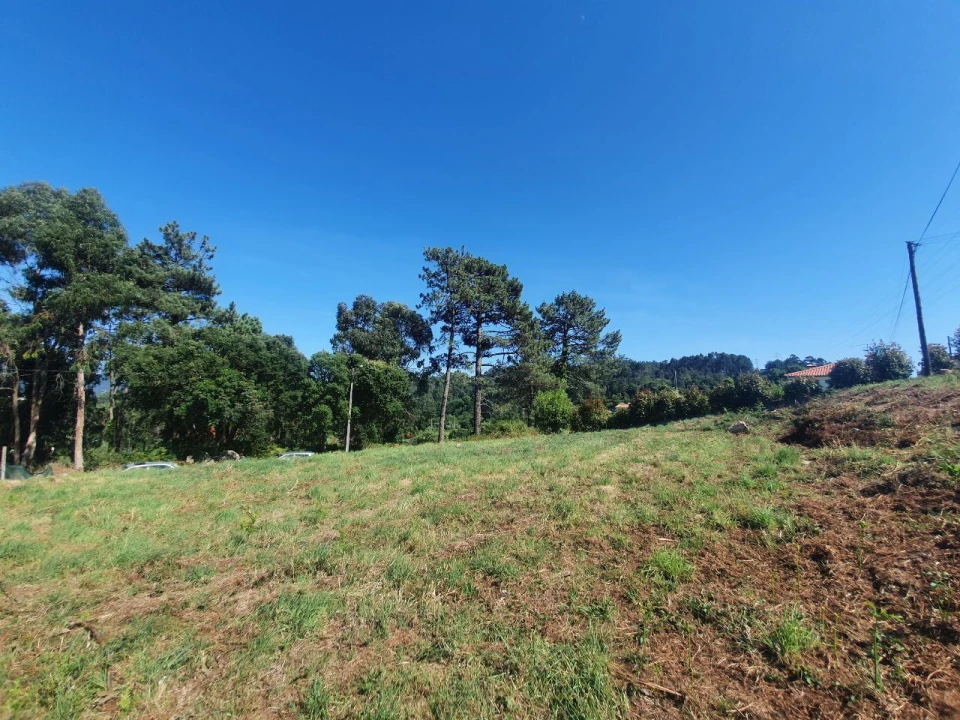 Terreno para Venda em Antas Foto 2